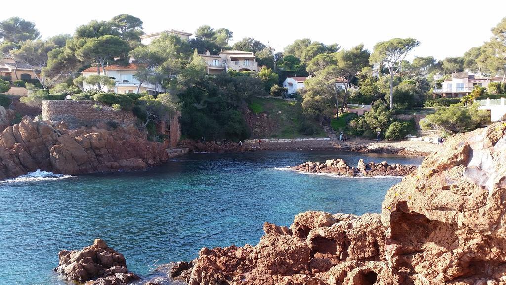 Un Petit Coin De Paradis Taradeau Eksteriør billede