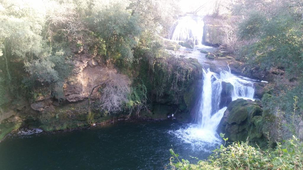 Un Petit Coin De Paradis Taradeau Værelse billede